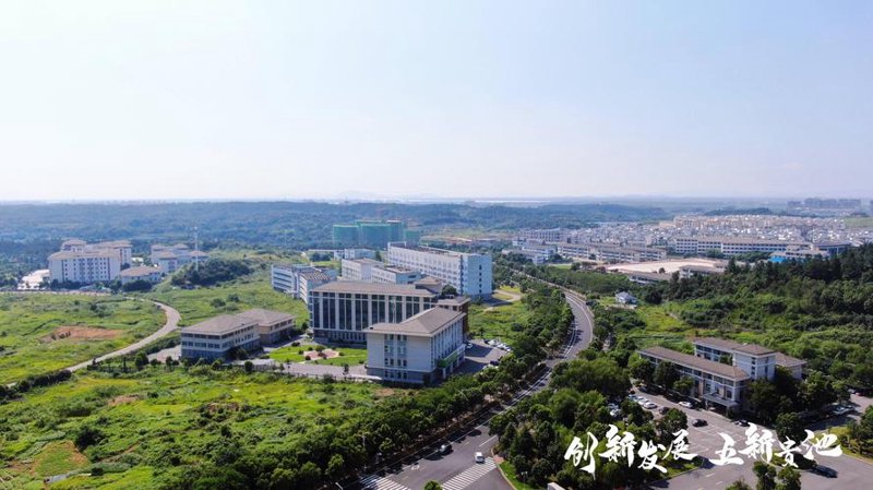 企业管理系统定制：提升效率的秘密武器
